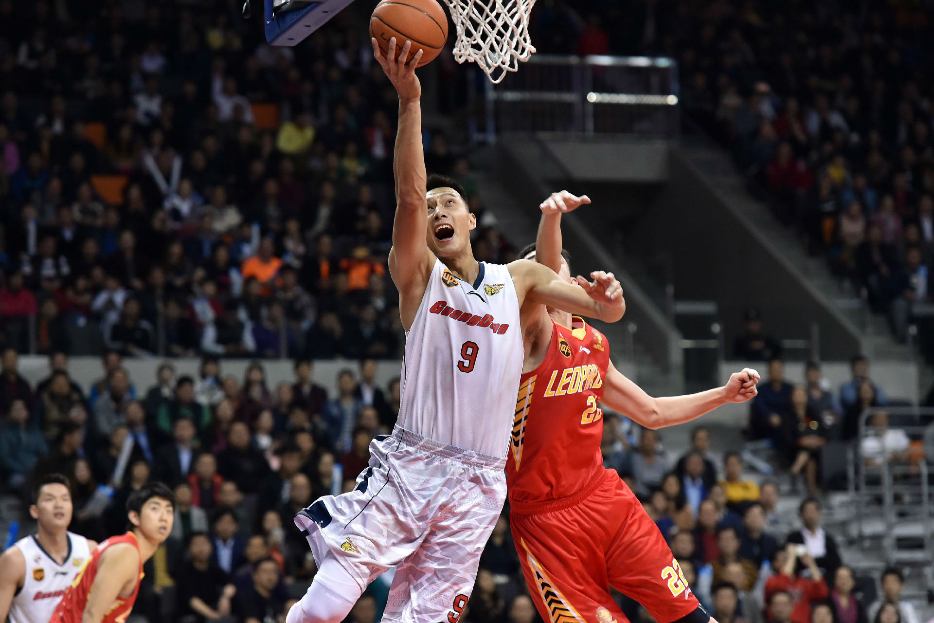 乱的特质 乱的特质