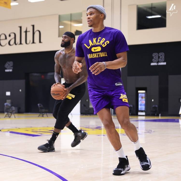 逼迫黄蜂内 逼迫黄蜂内