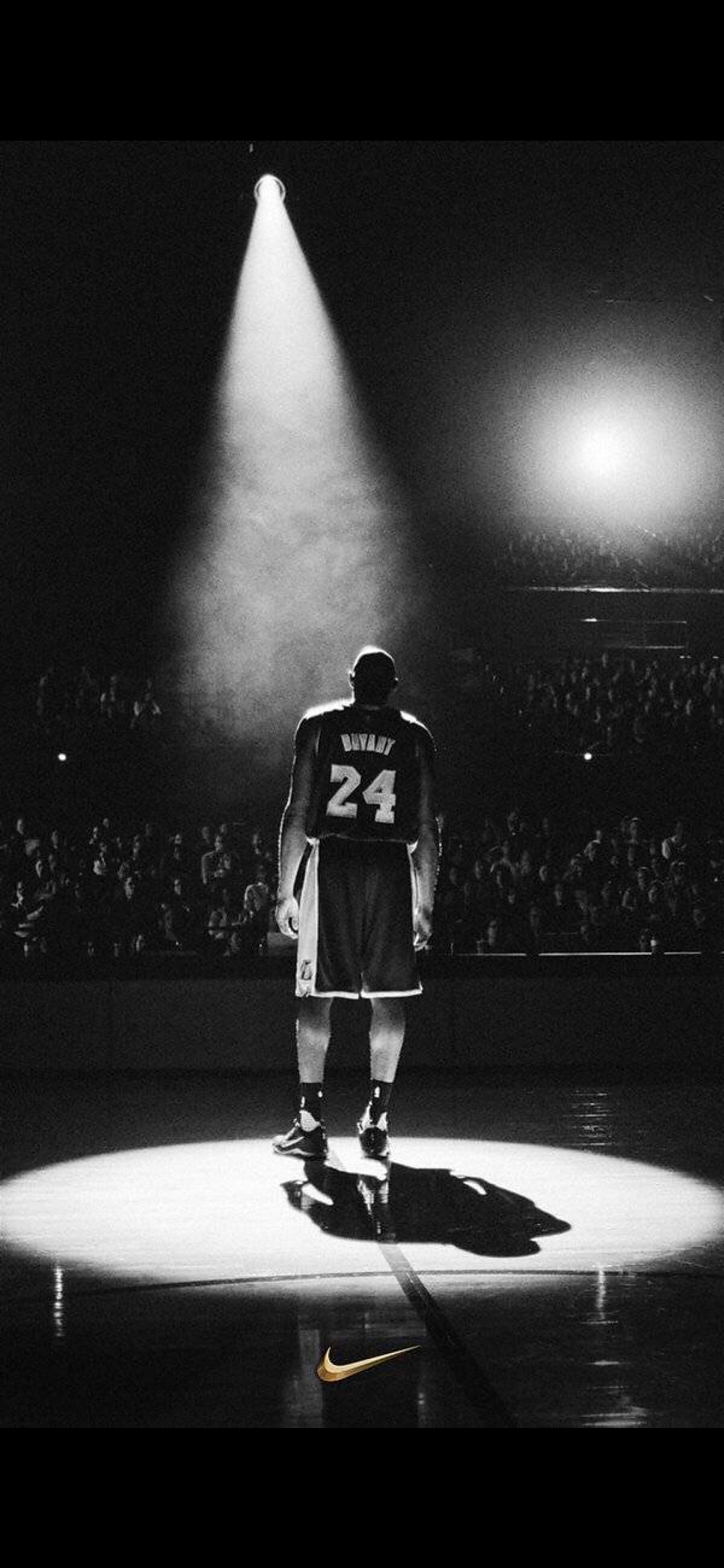 规范与美术 规范与美术